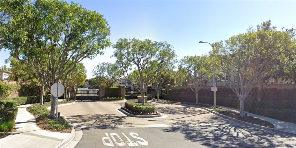 a view of a yard with plants and trees