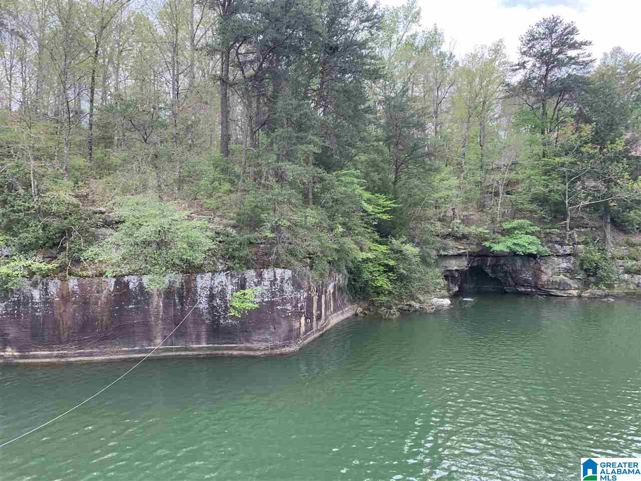 0 Sipsey Pines Road, Unit 132 Arley, AL 35541 - Photo 1 of 5
