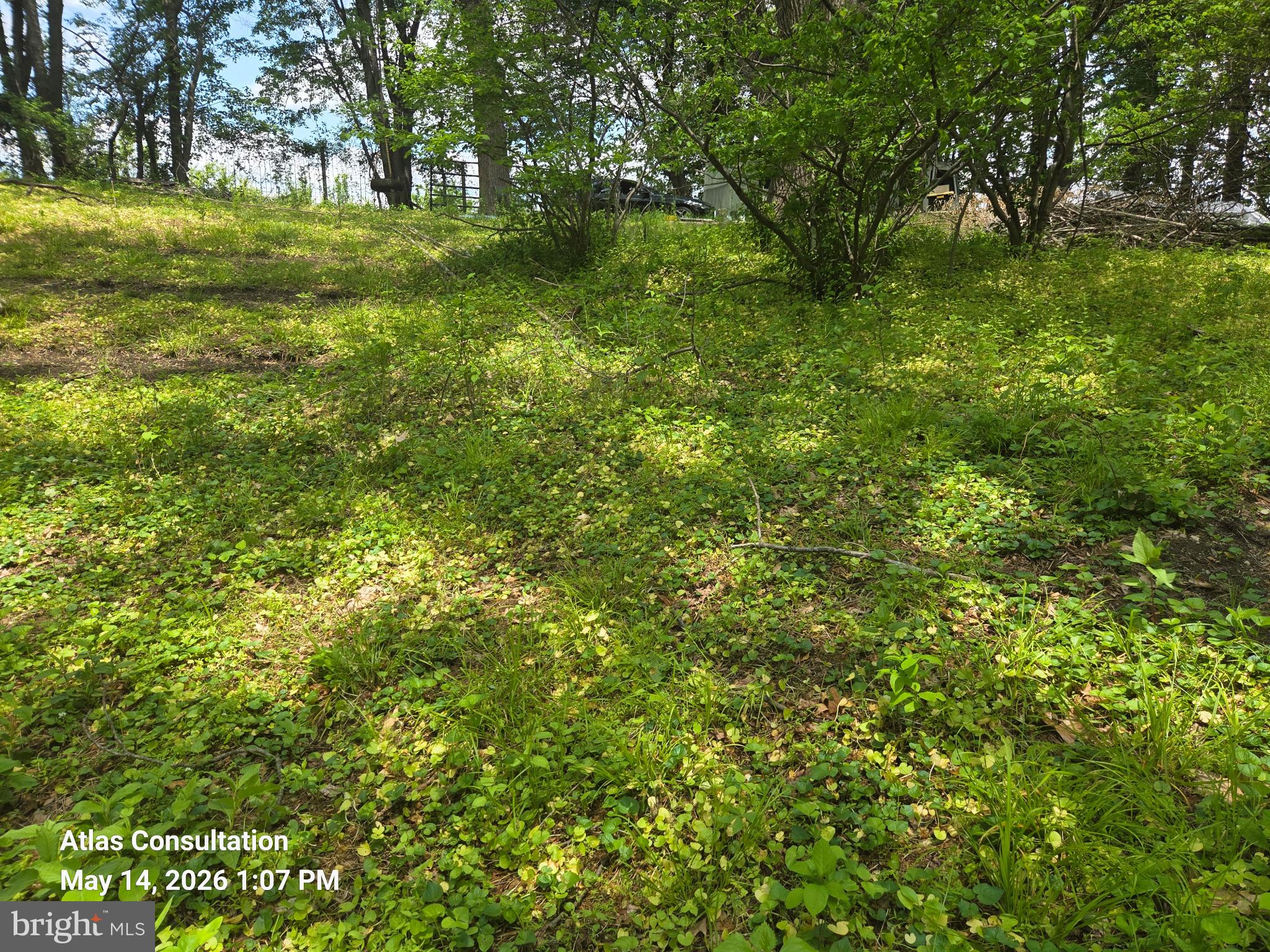 1475 Langhorne Yardley Road Langhorne, PA 19047 - Photo 4 of 15 Lush green landscape under dappled light.