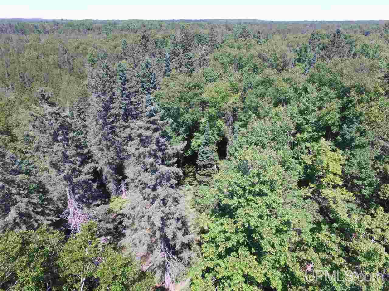 Tbd Usfs Road Munising, MI 49895 - Photo 3 of 14
