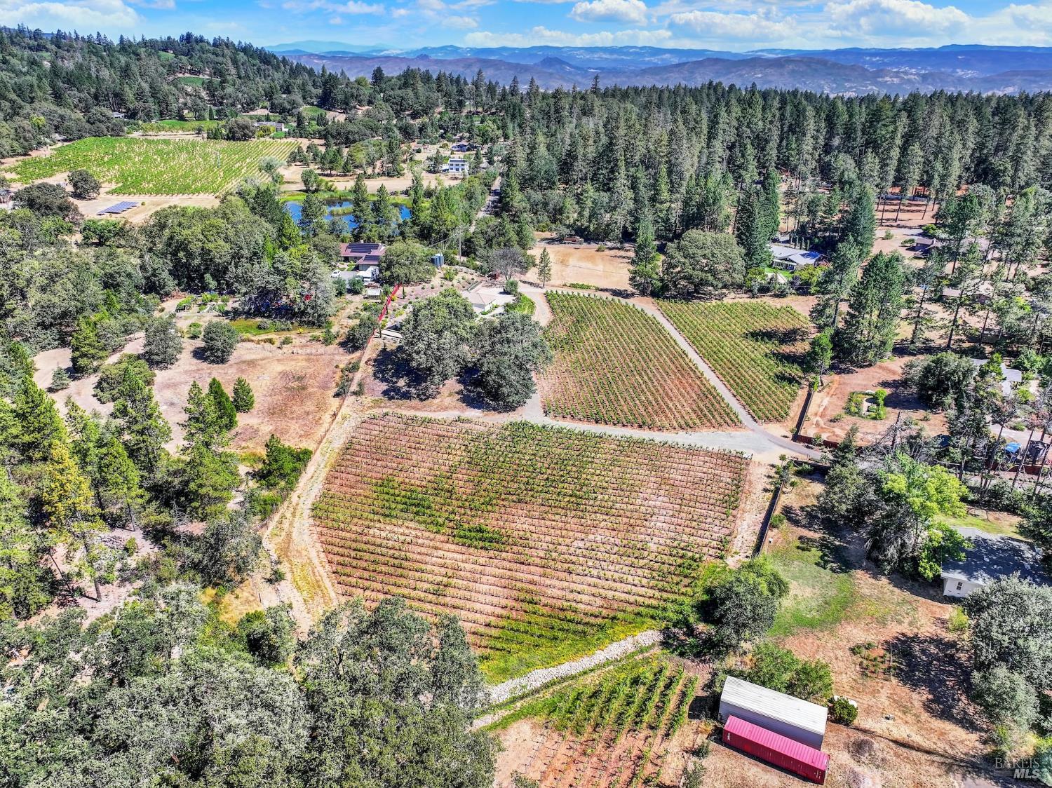 875 White Cottage Road North Angwin, CA 94508 - Photo 4 of 93