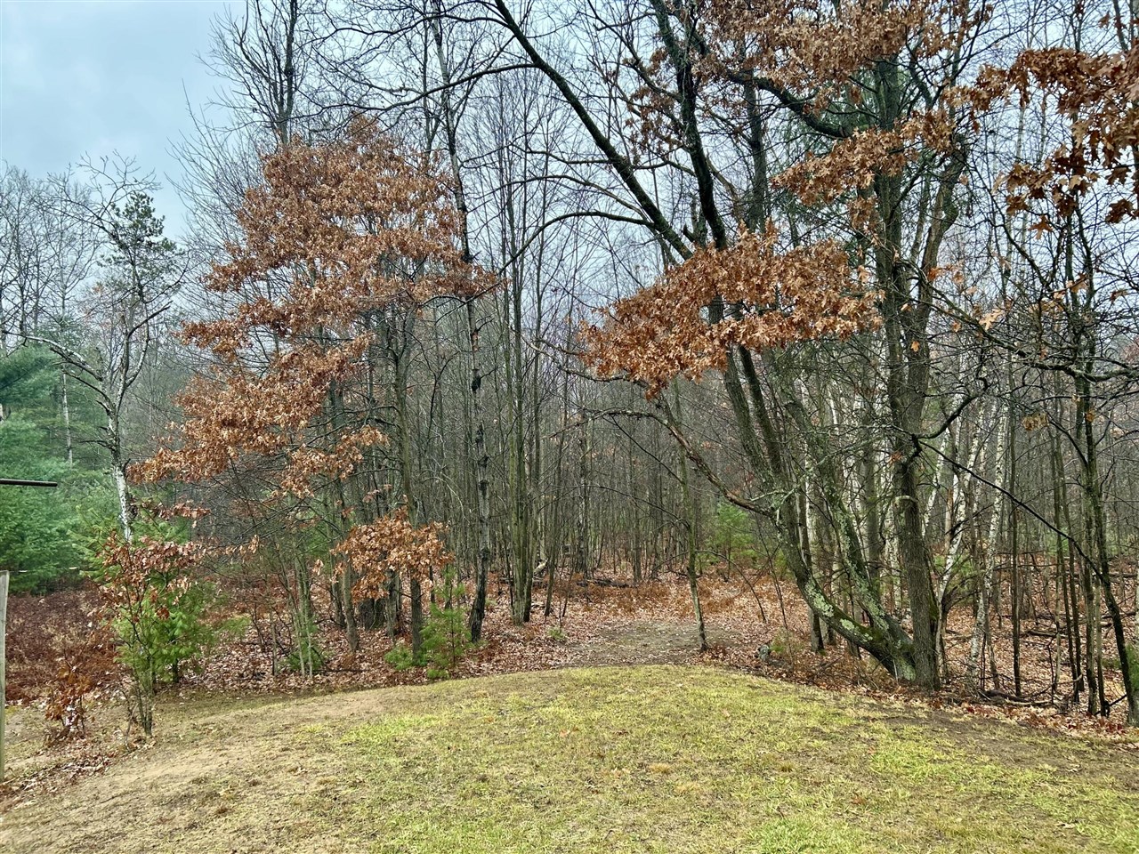 2471 West 12 Mile Road Bitely, MI 49309 - Photo 36 of 39