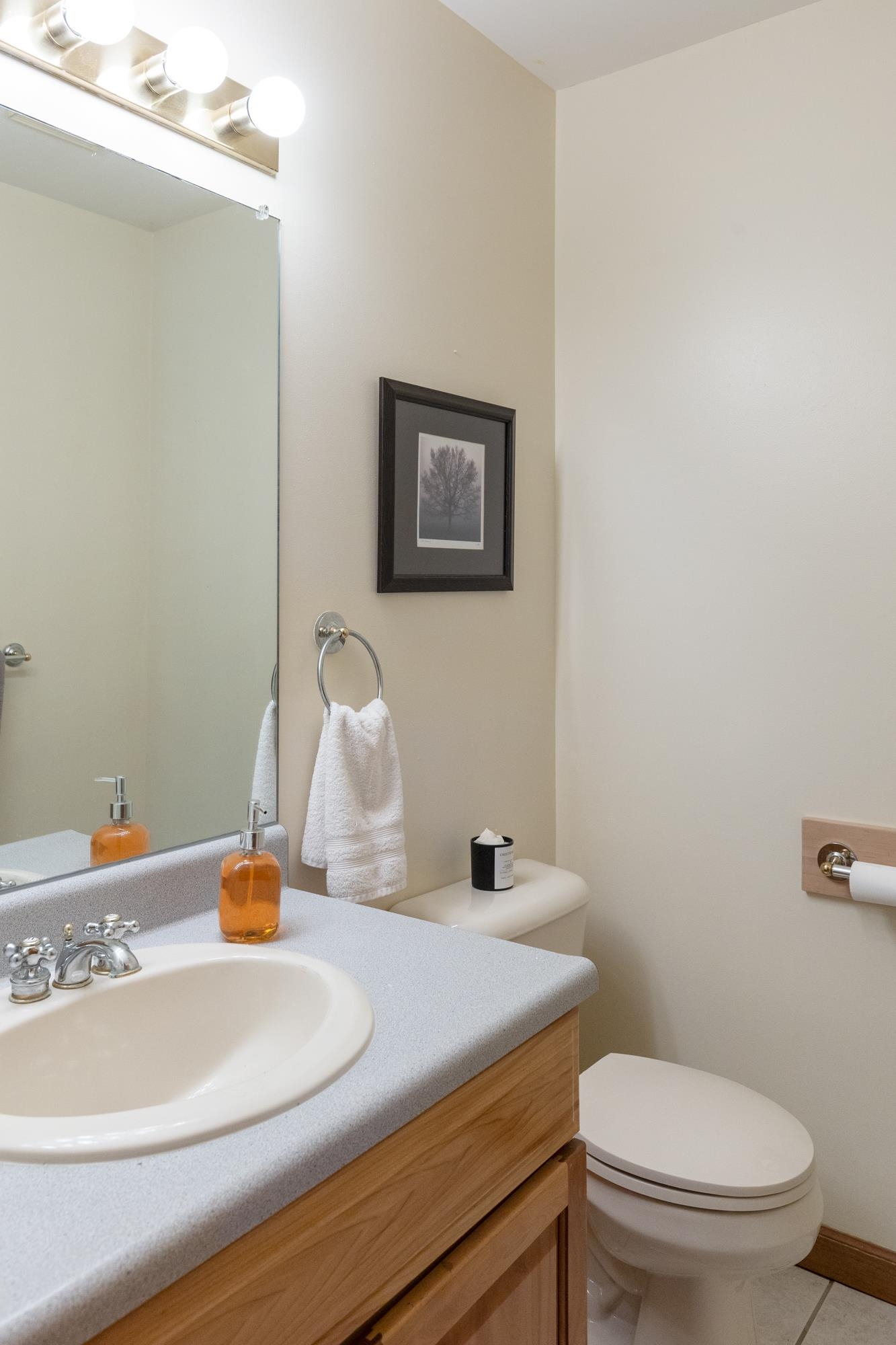 263 Highlands Drive Williston, VT 05495 - Photo 21 of 42