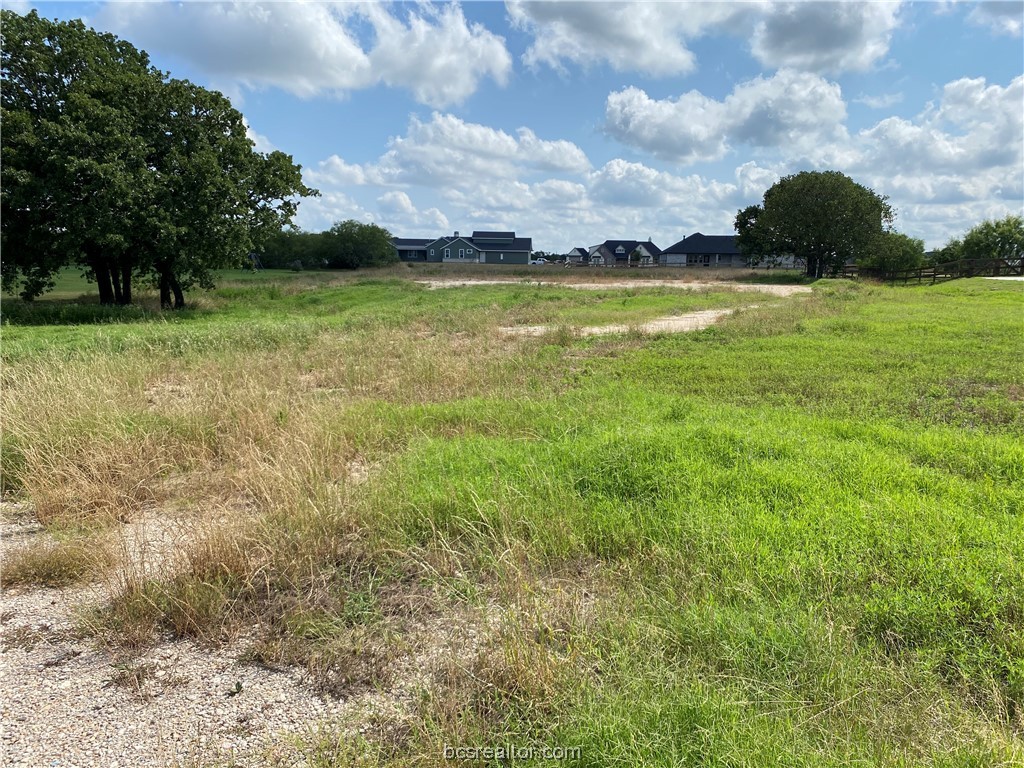a view of a golf course with an ocean