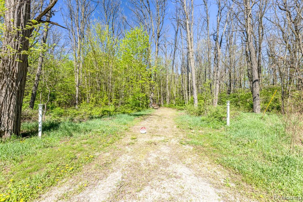 1753 Emerson Road Goodells, MI 48027 - Photo 9 of 15