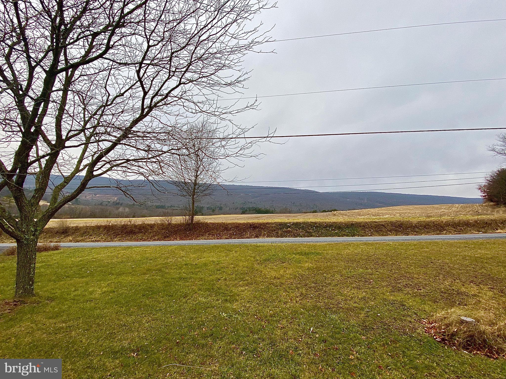 1058 Deep Creek Road Ashland, PA 17921 - Photo 4 of 18 View from front yard