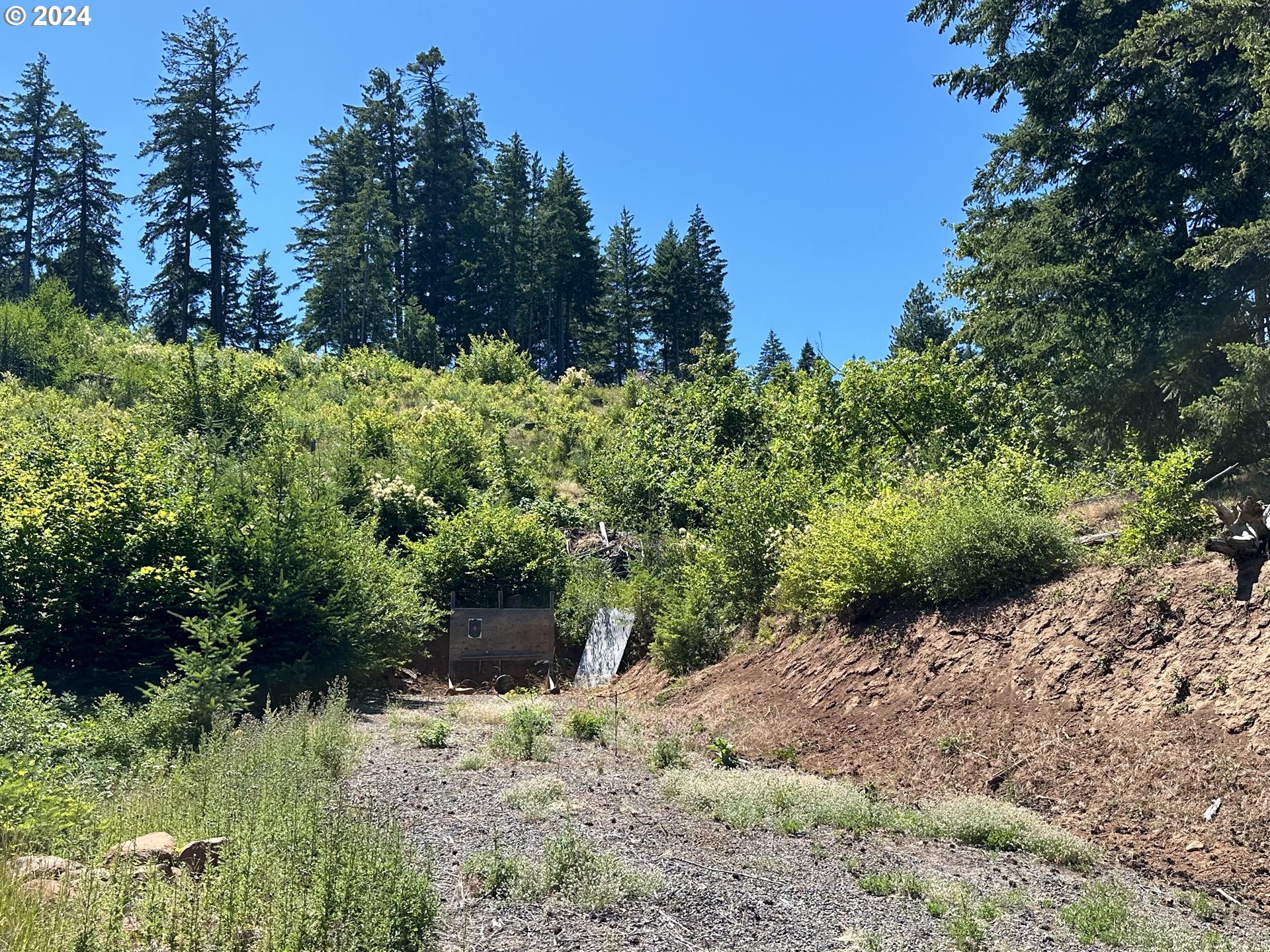 581 Canyon Road Lyle, WA 98635 - Photo 26 of 48 Gallery Image 26