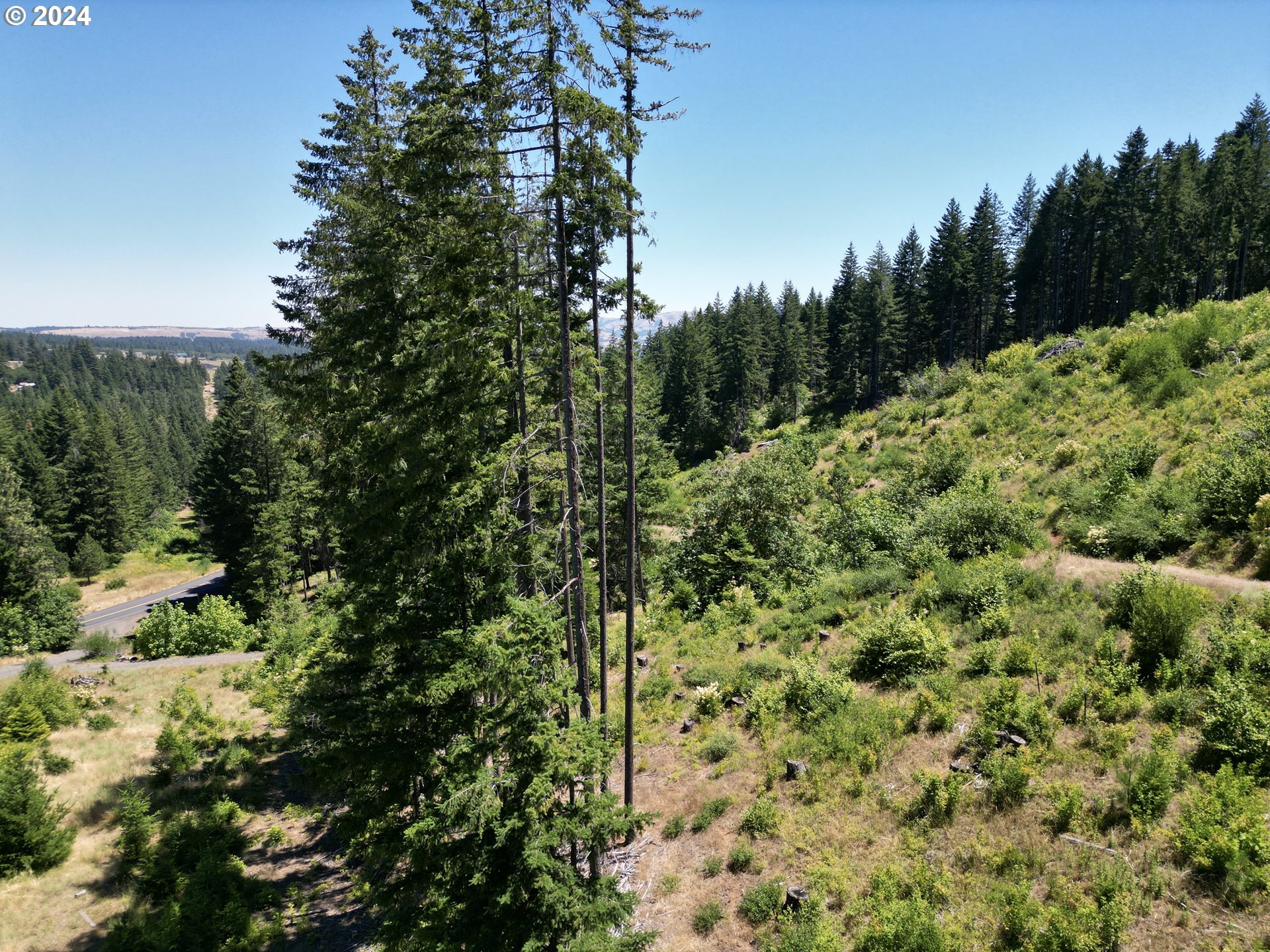 581 Canyon Road Lyle, WA 98635 - Photo 33 of 48 Gallery Image 33