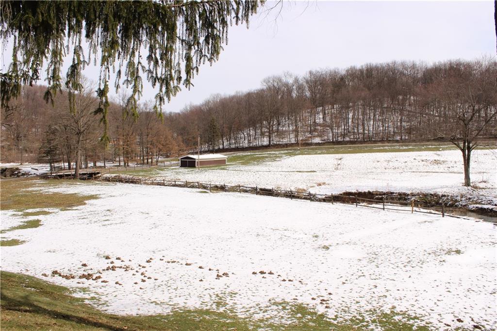 134 Glade Run Road Mars, PA 16046 - Photo 6 of 25 View of property from the front yard