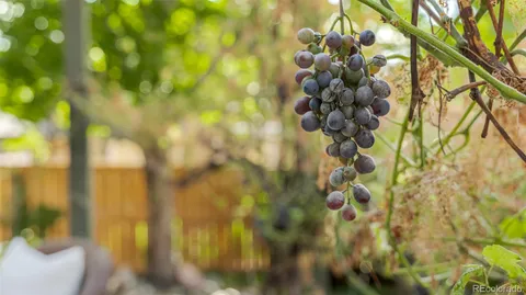 a bench sitting in front of a building