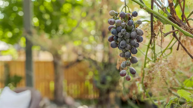 a bench sitting in front of a building