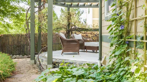 a view of garden with plants and trees