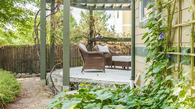 a view of garden with plants and trees