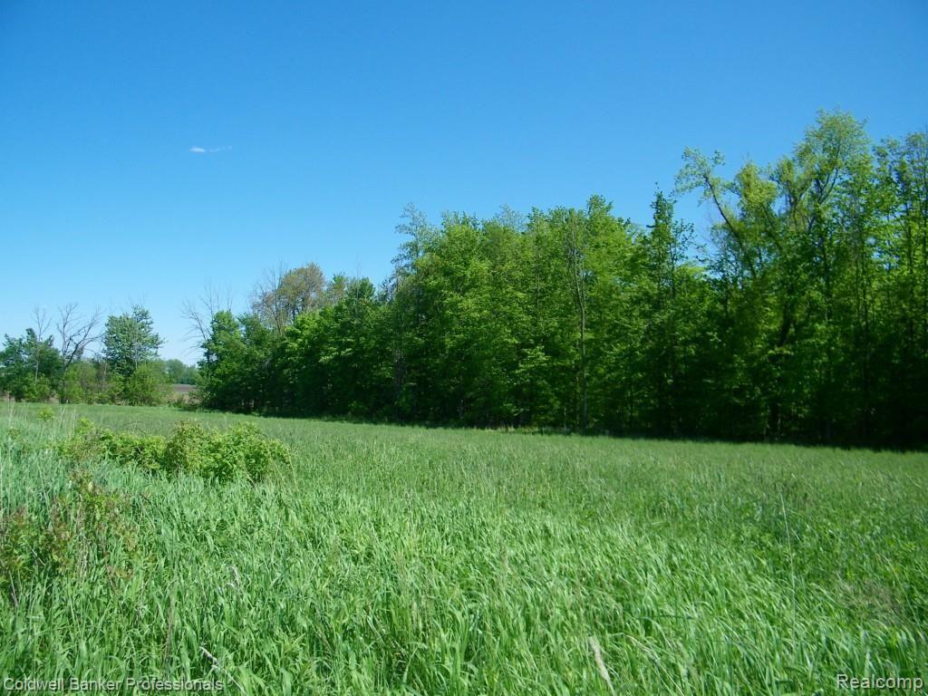 2 North Branch Rd Branch Fostoria, MI 48435 - Photo 6 of 6