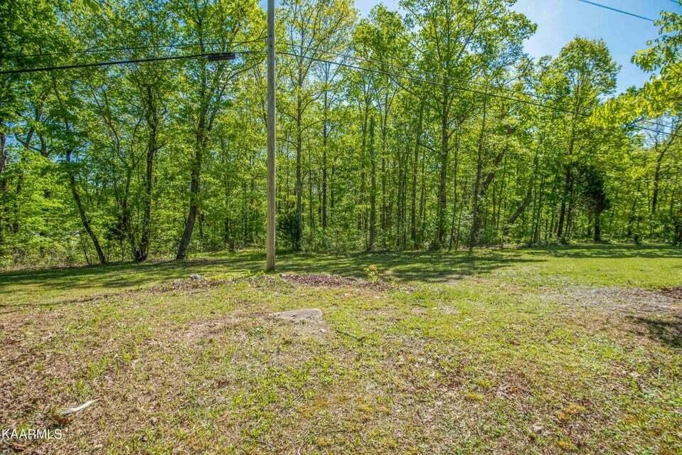 699 Lowes Gap Road Spring City, TN 37381 - Photo 32 of 41 Gallery Image 32