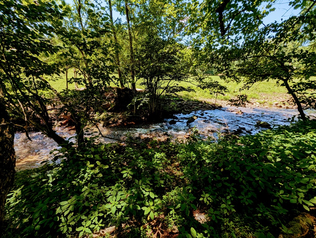 169 East Vineyard Road Hayesville, NC 28904 - Photo 8 of 61 Gallery Image 8