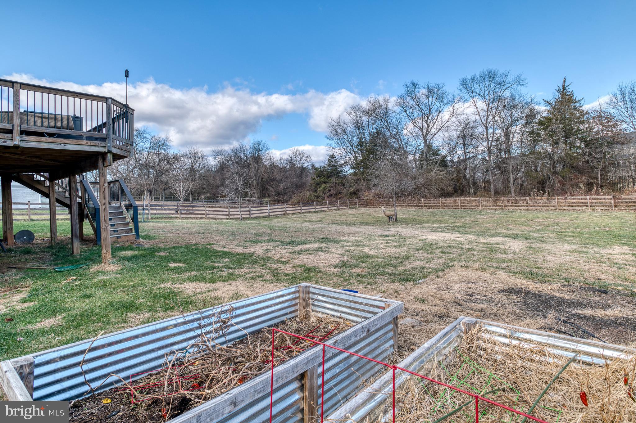 14510 Kingsmill Way Culpeper, VA 22701 - Photo 46 of 64 a view of a yard with an outdoor space