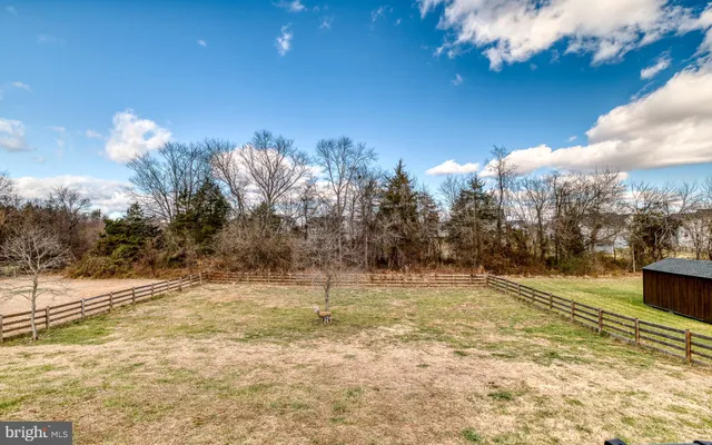 a view of outdoor space with lots of trees