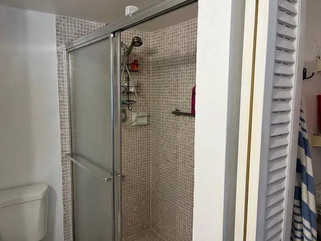 a bathroom with a shower and a toilet