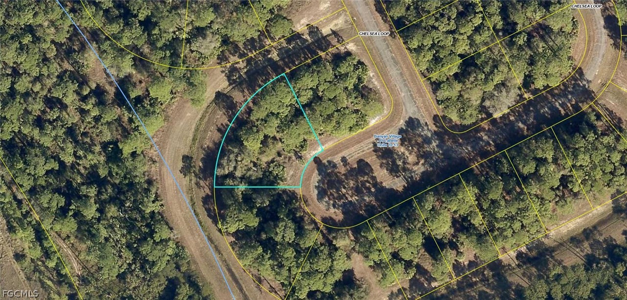 431 Chelsea Loop LaBelle, FL 33935 - Photo 1 of 4