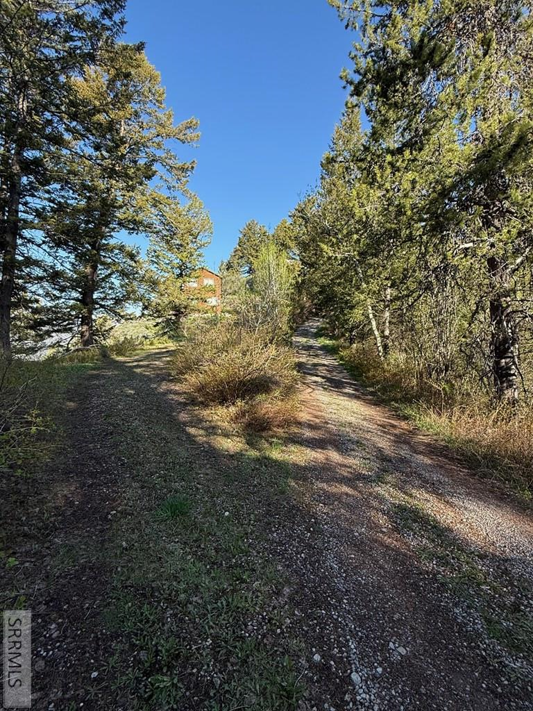 447 Goosewing Drive Irwin, ID 83428 - Photo 33 of 40