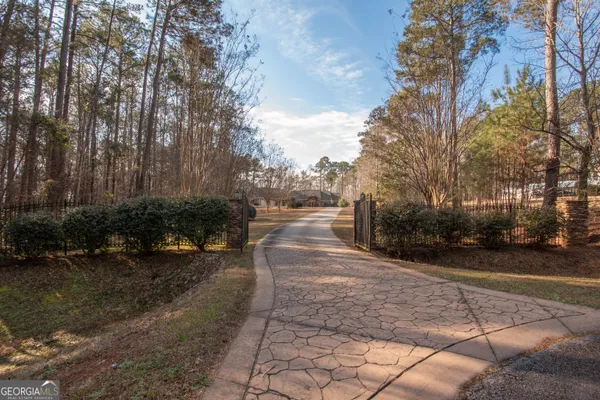 a view of a yard with plants and trees