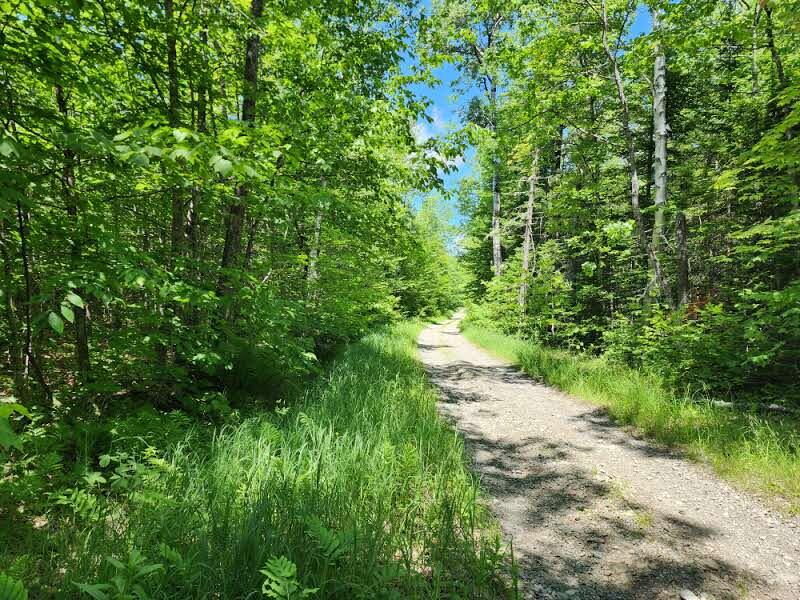 8 McManus Tote Road Mount Chase, ME 04765 - Photo 1 of 10 20250624_124920