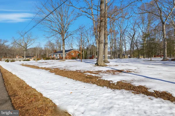 a view of road with with trees