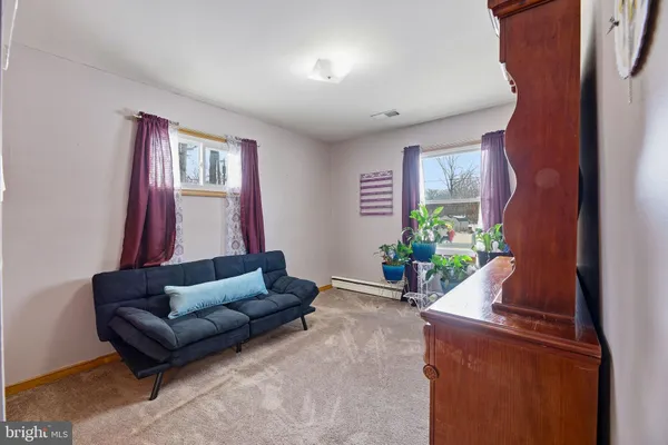 a living room with furniture and a potted plant