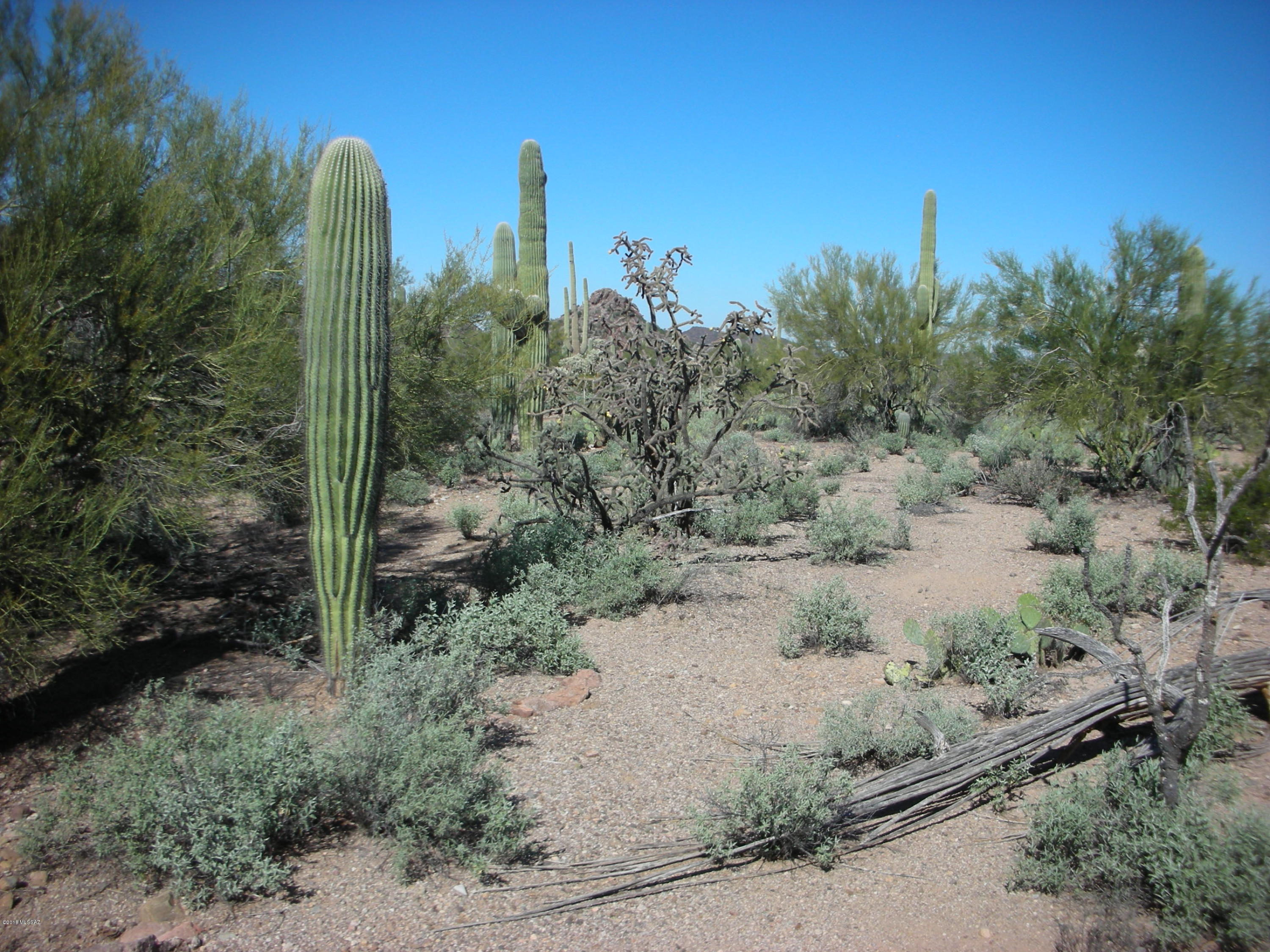 7490 West Ina Road Tucson, AZ 85743 - Photo 15 of 18 Gallery Image 15