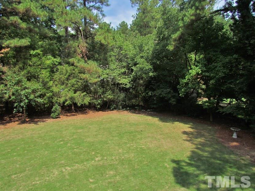 224 Bayleaf Drive Raleigh, NC 27615 - Photo 3 of 22 a view of a lake view