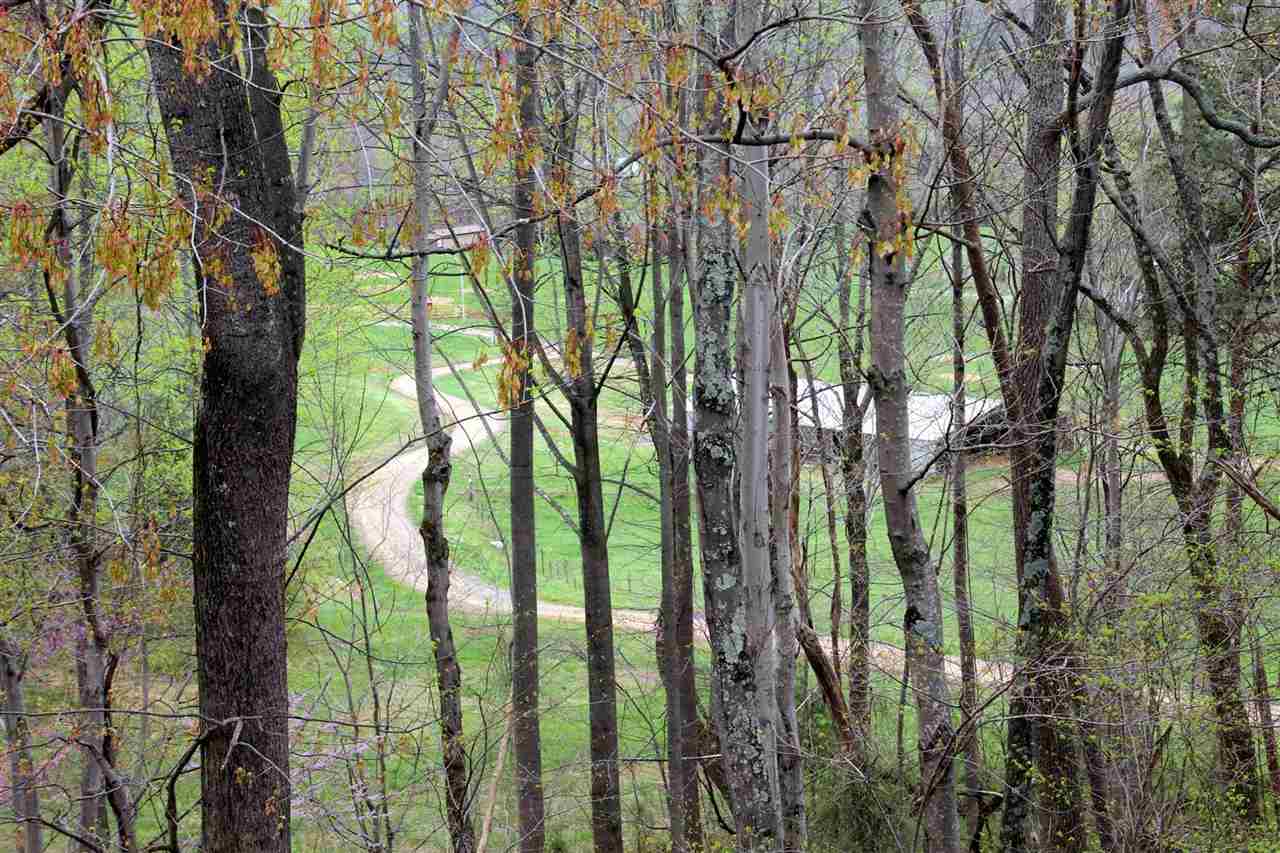 254 Rivendell Lane Madison, VA 22727 - Photo 23 of 40 Gallery Image 23