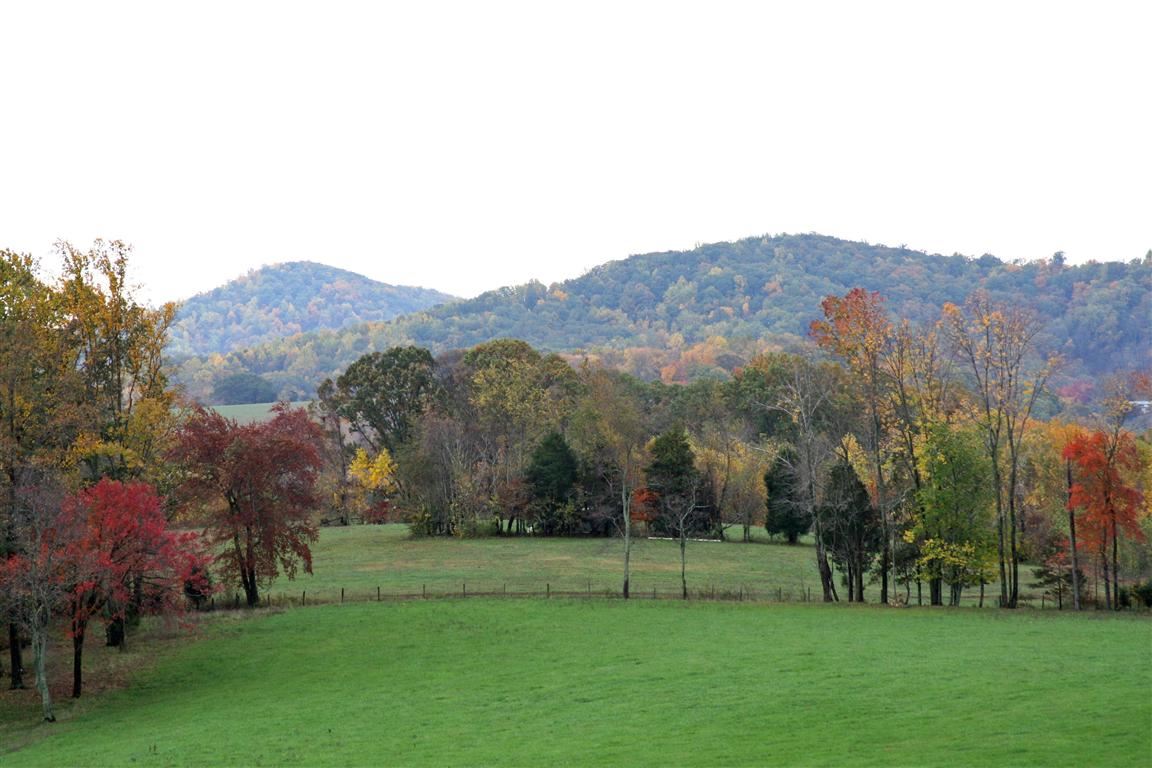 254 Rivendell Lane Madison, VA 22727 - Photo 29 of 40 Gallery Image 29