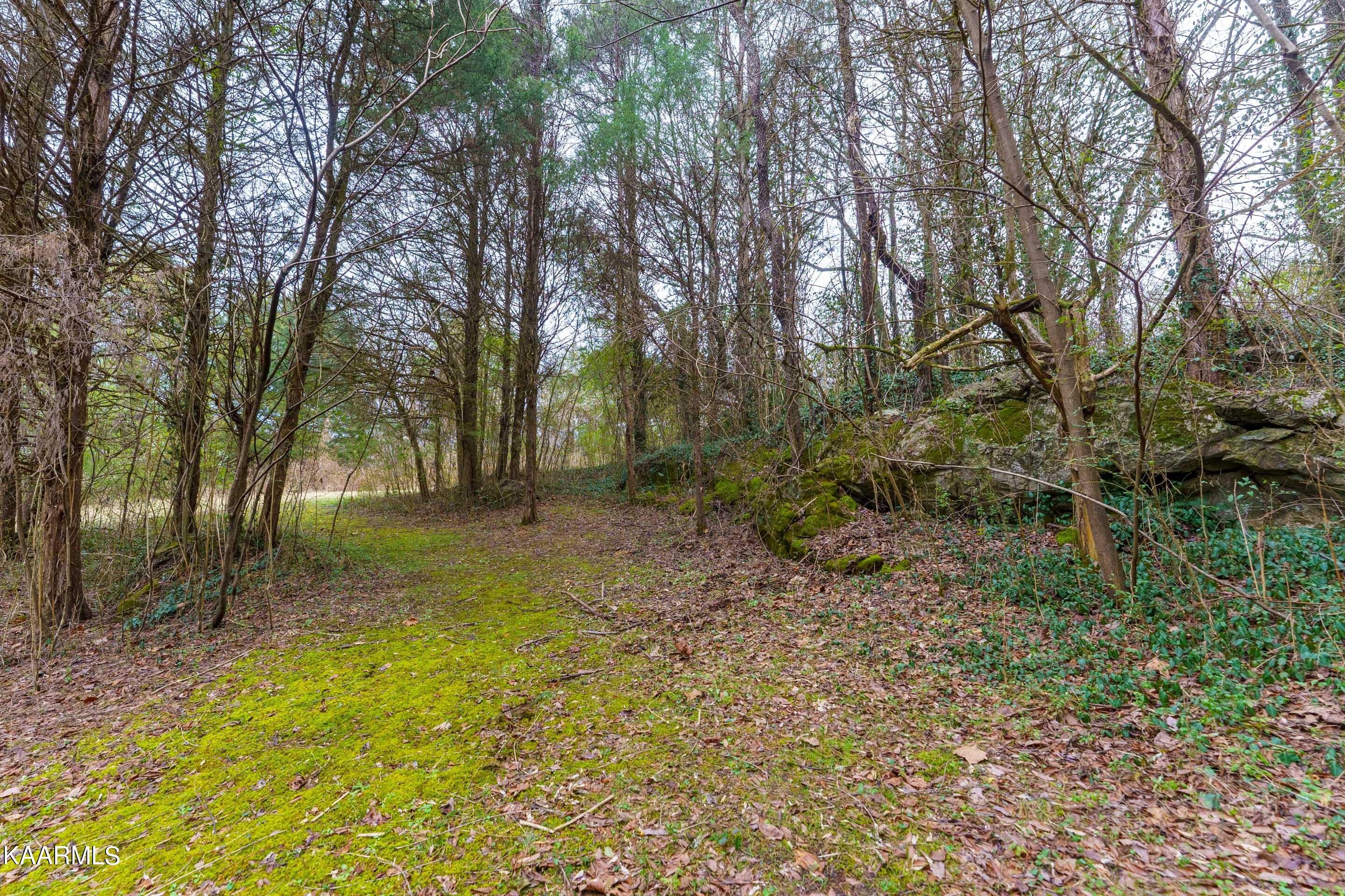 2813 Cedar Bluff Road Sevierville, TN 37876 - Photo 29 of 36 _DSC3976-HDR