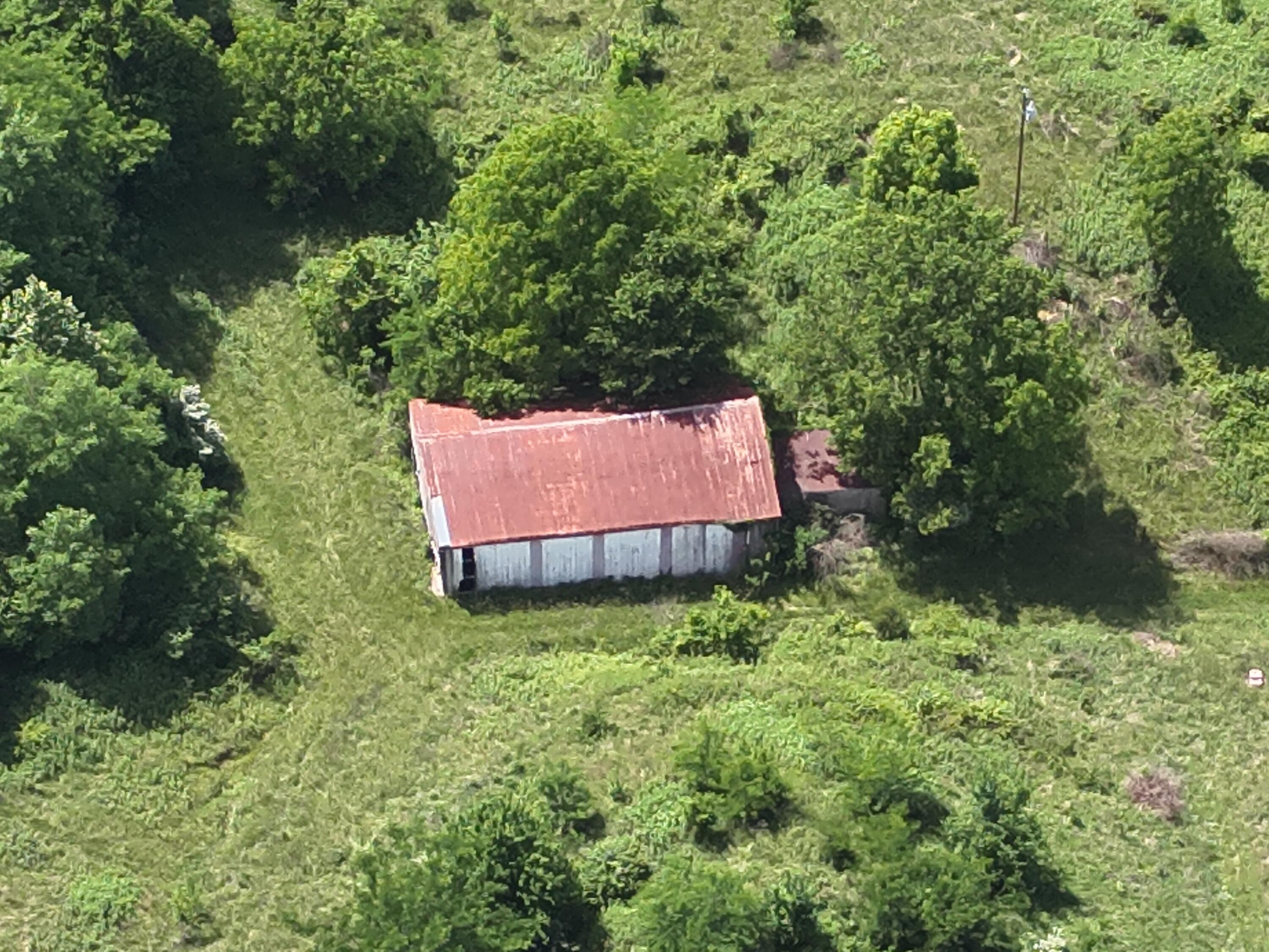 113 Lee's Creek Road Dover, KY 41034 - Photo 28 of 30 DJI_20260529151811_0012_V