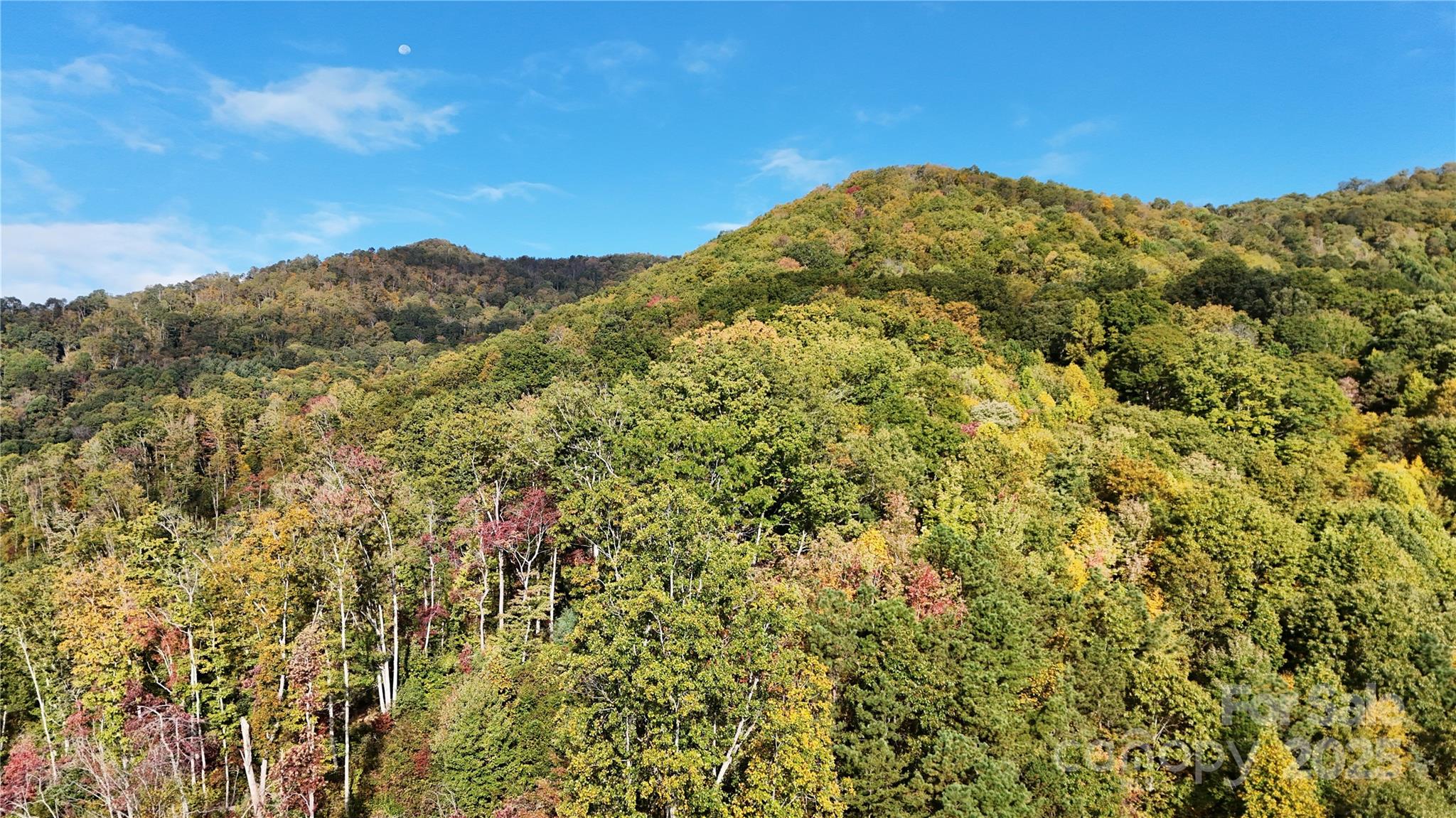 2 Roberts Mountain Road, Unit 2 Clyde, NC 28721 - Photo 24 of 28 Gallery Image 24