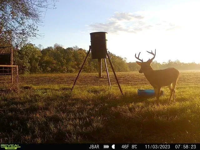 a view of a green field with wooden fence