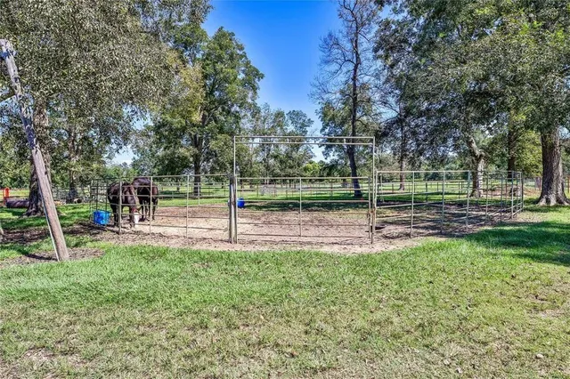a view of a yard with an outdoor space