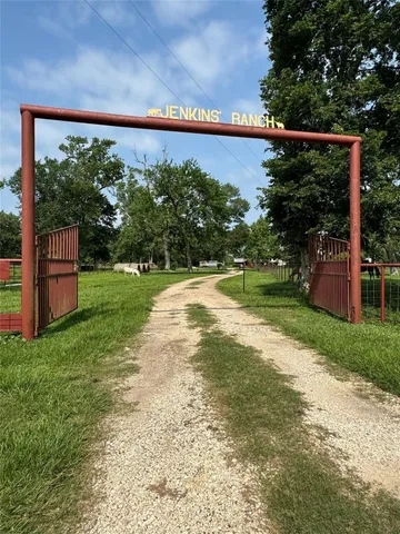 a view of a large trees with a lake in background