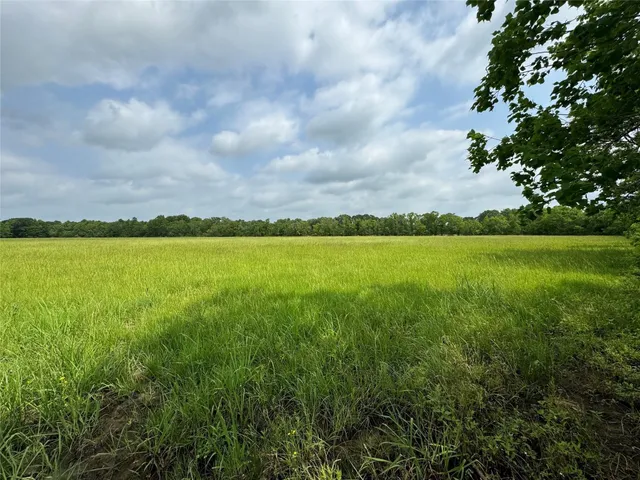 a view of green field