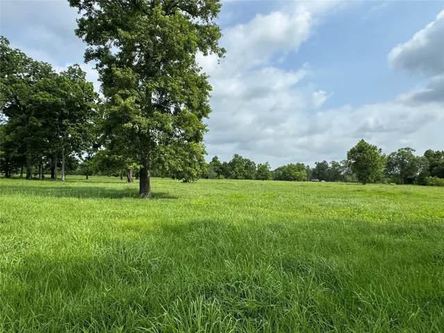 a view of a grassy field with trees in the background