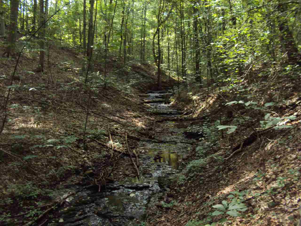 182 Riverview Road Scottsville, KY 42164 - Photo 12 of 22 Gallery Image 12