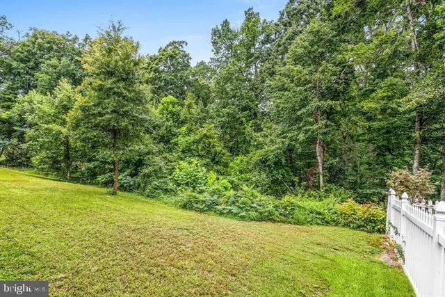 a view of yard with swimming pool and green space