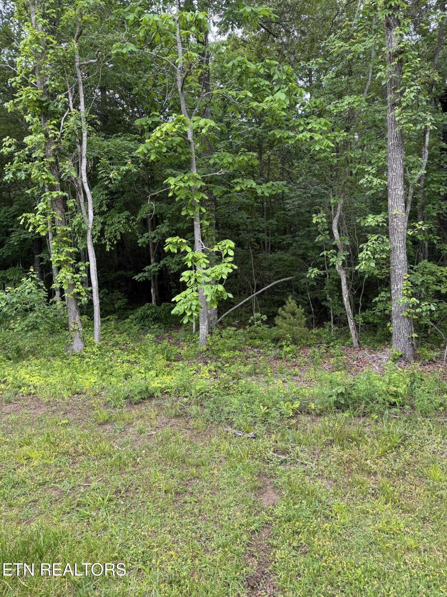121 Windsor Road Crossville, TN 38558 - Photo 4 of 4 121 Windsor