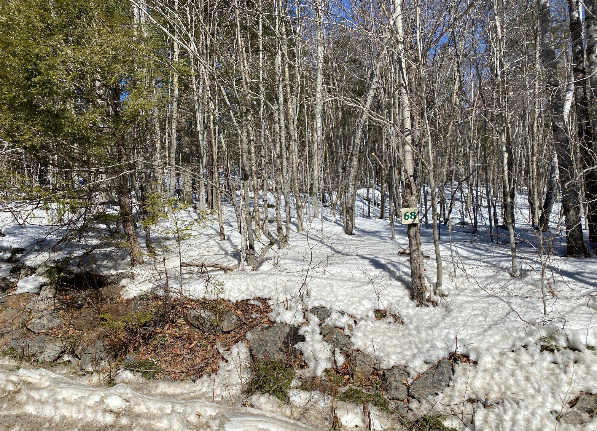 Lot 68 Douglass Road Newry, ME 04261 - Photo 7 of 10 IMG_4084