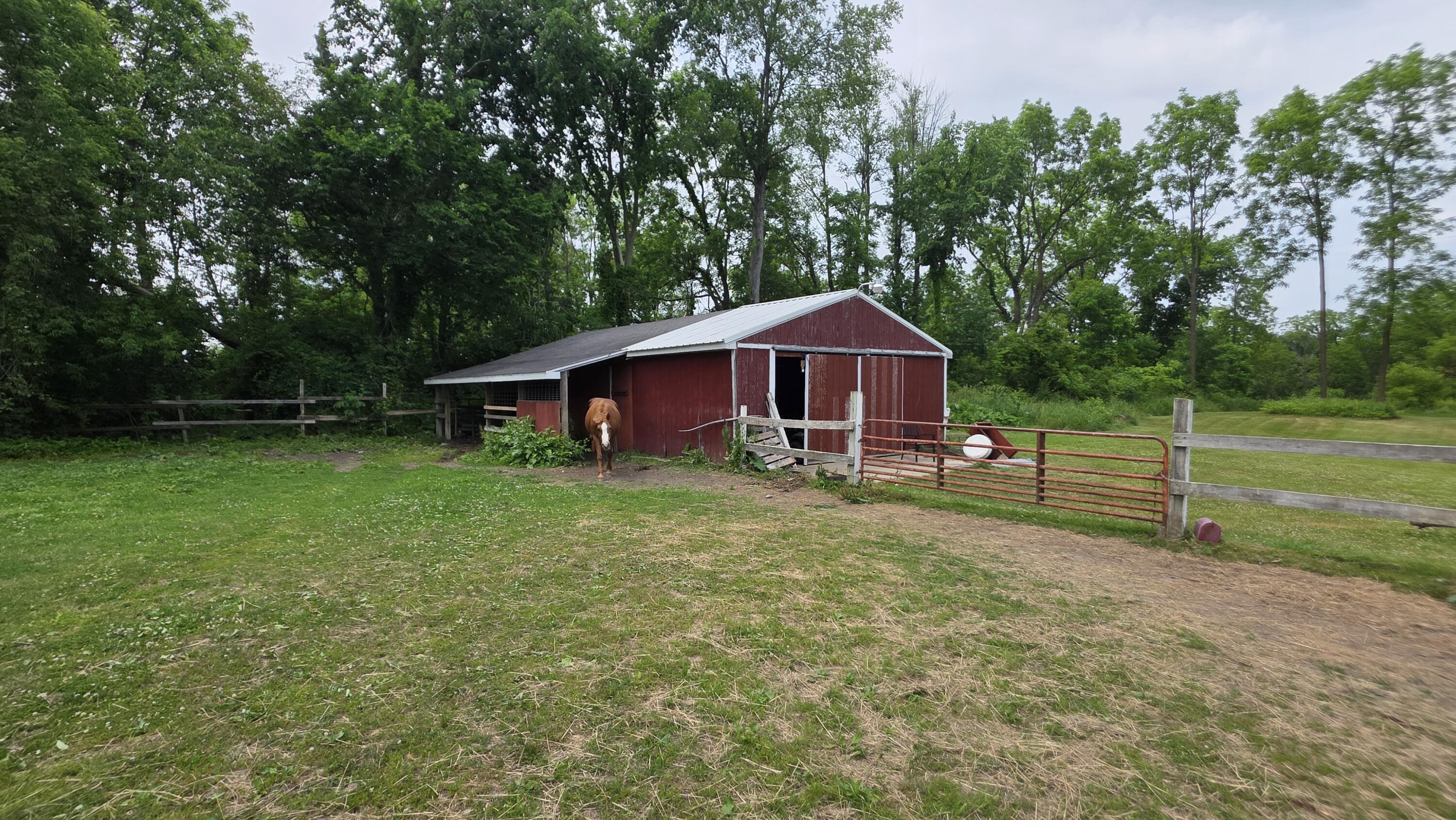 17281 Ely Road Manchester, MI 48158 - Photo 78 of 90 20260608_145448
