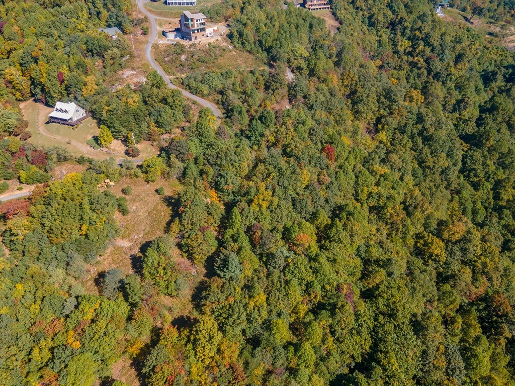 Lot 93 Reflections Point Trail, Unit 93 Fancy Gap, VA 24328 - Photo 69 of 92 Gallery Image 69