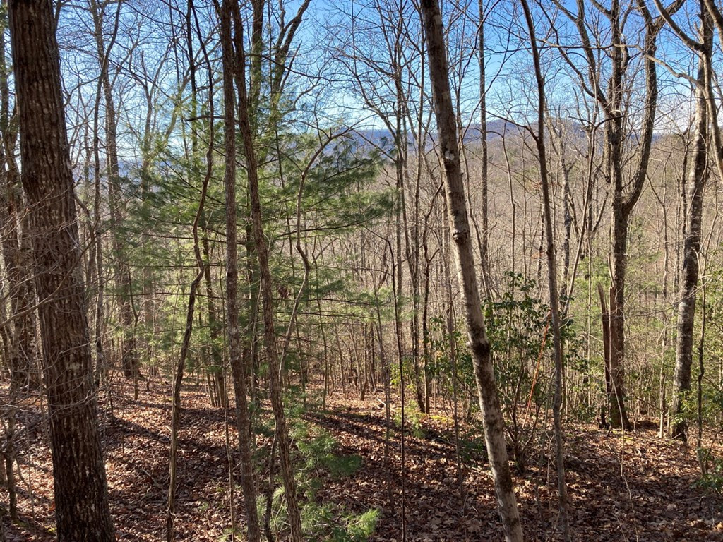 Lot 31 High Ridge Road Murphy, NC 28906 - Photo 2 of 4