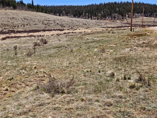 a view of a dry yard with trees