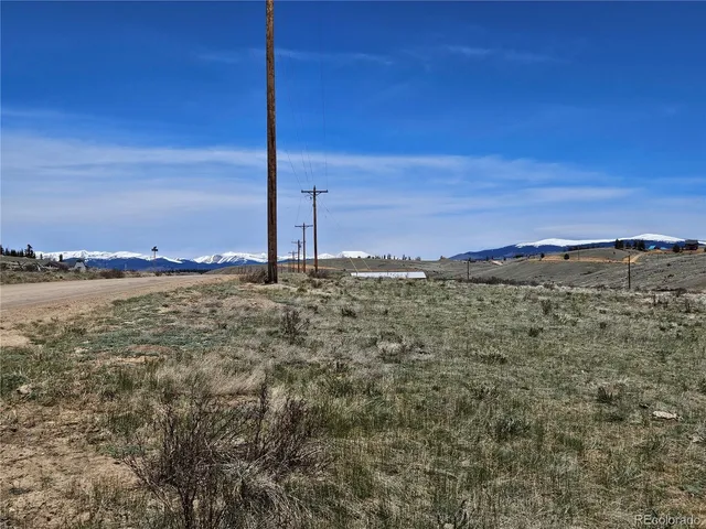 a view of a large trees with sunset view